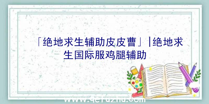 「绝地求生辅助皮皮曹」|绝地求生国际服鸡腿辅助